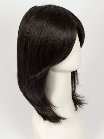 Synthetic Lace Front Wig (Mono Crown)